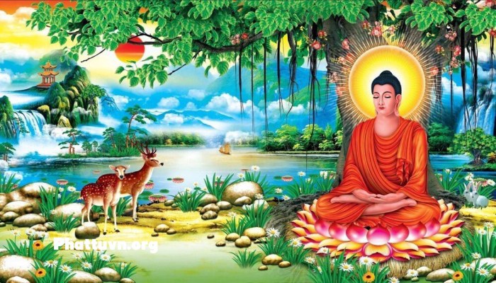 Giác ngộ là thuật ngữ thường được nhắc đến trong Phật Giáo