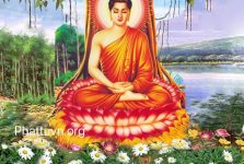 Phật Thích Ca Mâu Ni còn được gọi là Phật Tổ, Phật Đà