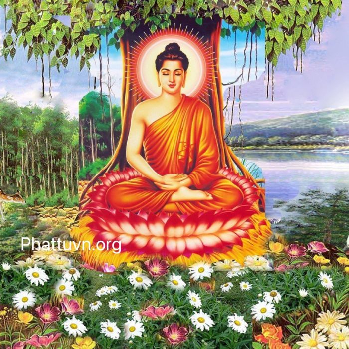Phật Thích Ca Mâu Ni còn được gọi là Phật Tổ, Phật Đà
